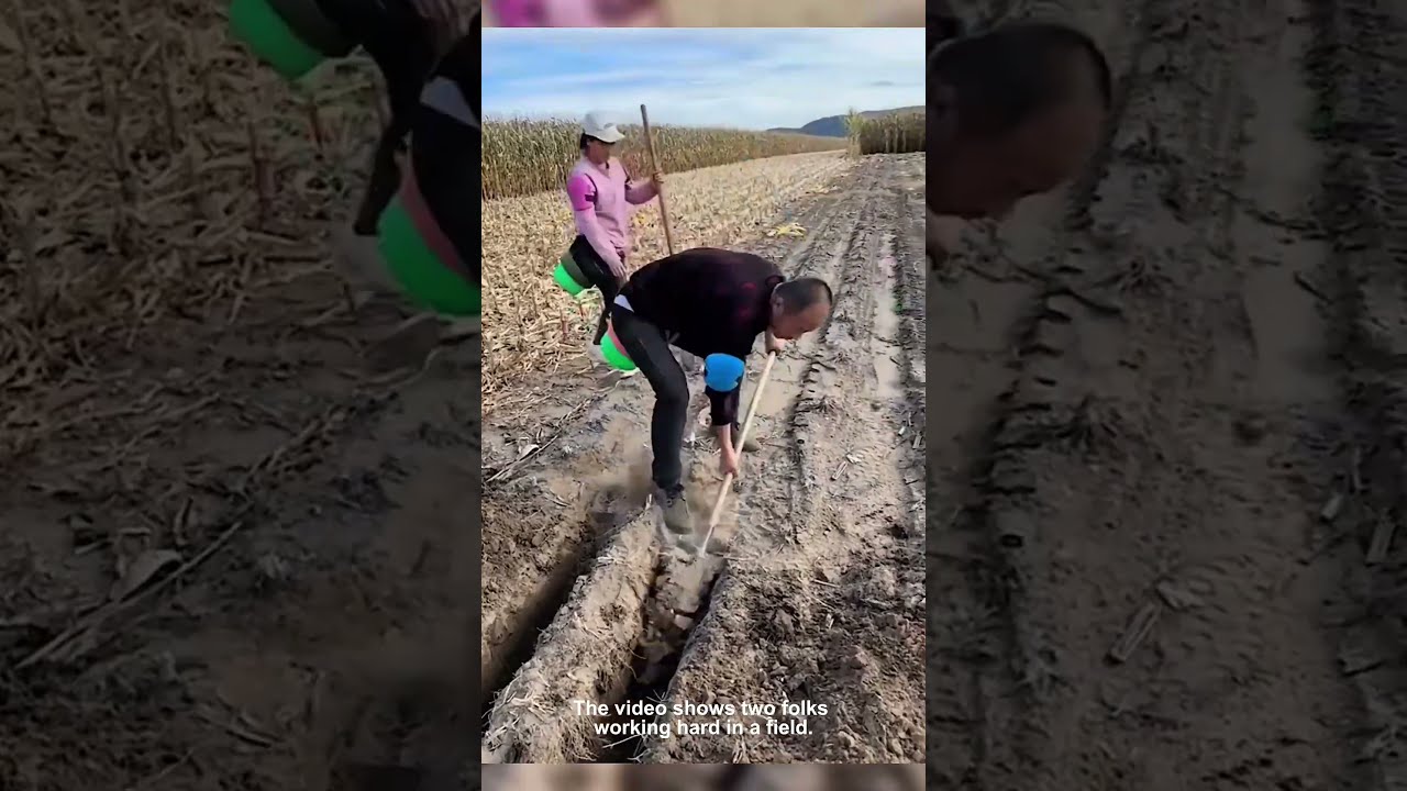 Digging Deep In The Sunny Fields