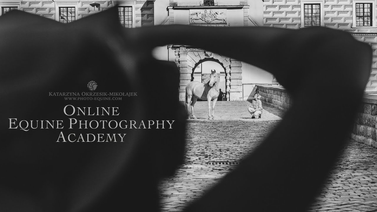 Online Equine Photography Academy with Katarzyna Okrzesik-Mikołajek
