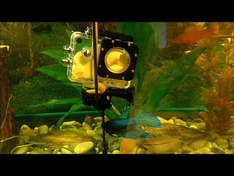 Как сделать монопод для подводных сьемок с лодки и тест аквабокса камеры SJ4000