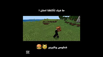 قطوس والبرجر اشتراك Minecraft تحشيش ماين كرافت تحشي اكسبلور ماينكرافتللجوال لايك 