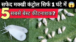 Whitefly control insecticide || whitefly best insecticide || सफेद मक्खी कंट्रोल 1 घंटे में 100% || ?