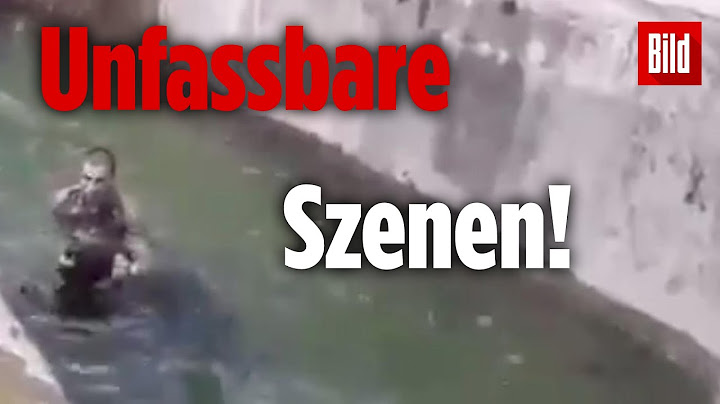 Betrunkener will Bärin im Zoo ertränken
