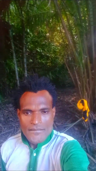 Dezine Musik #dezine #seanrii #shorts