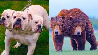 Animals That Are Born Only Once In a Thousand Years