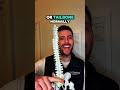 Sciatica vs. Low Back Pain: What’s the REAL Difference? | Explained by Chiropractors