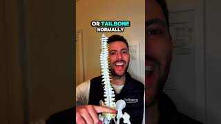 Sciatica Vs. Low Back Pain Whats The Real Difference? Explained By Chiropractors
