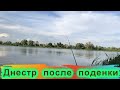 Рыбалка после вылета поденки / как клевала рыба / Маяки Днестр