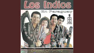 Video thumbnail of "LOS INDIOS - Nde ratypycua"