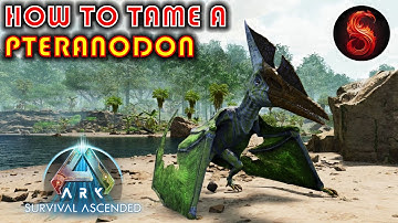 ARK SURVIVAL ASCENDED HOW TO TAME A PTERANODON