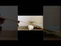 See-saw analogy how position of equilibrium shifts when concentration changes