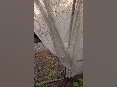 Теплица капельный полив - YouTube