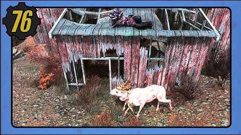 Fallout 76 Daily Challenge Guide for August 6, 2024.