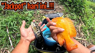 BIG JACKPOT ‼️ THIS ONE IS THE PRESIDENTIAL SIZE || fishing for red devil fish NAHOL MANIA