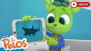 Sharks! | Adventure Learning | MarcoPolo World School | Learn At Home screenshot 5
