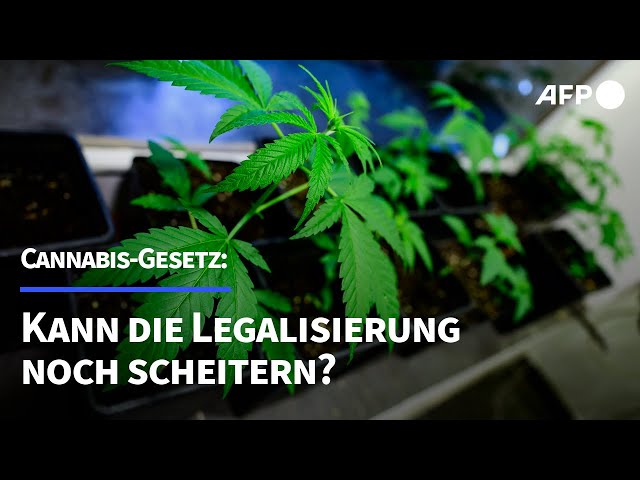 aktuell - Debatte um Cannabis-Gesetz