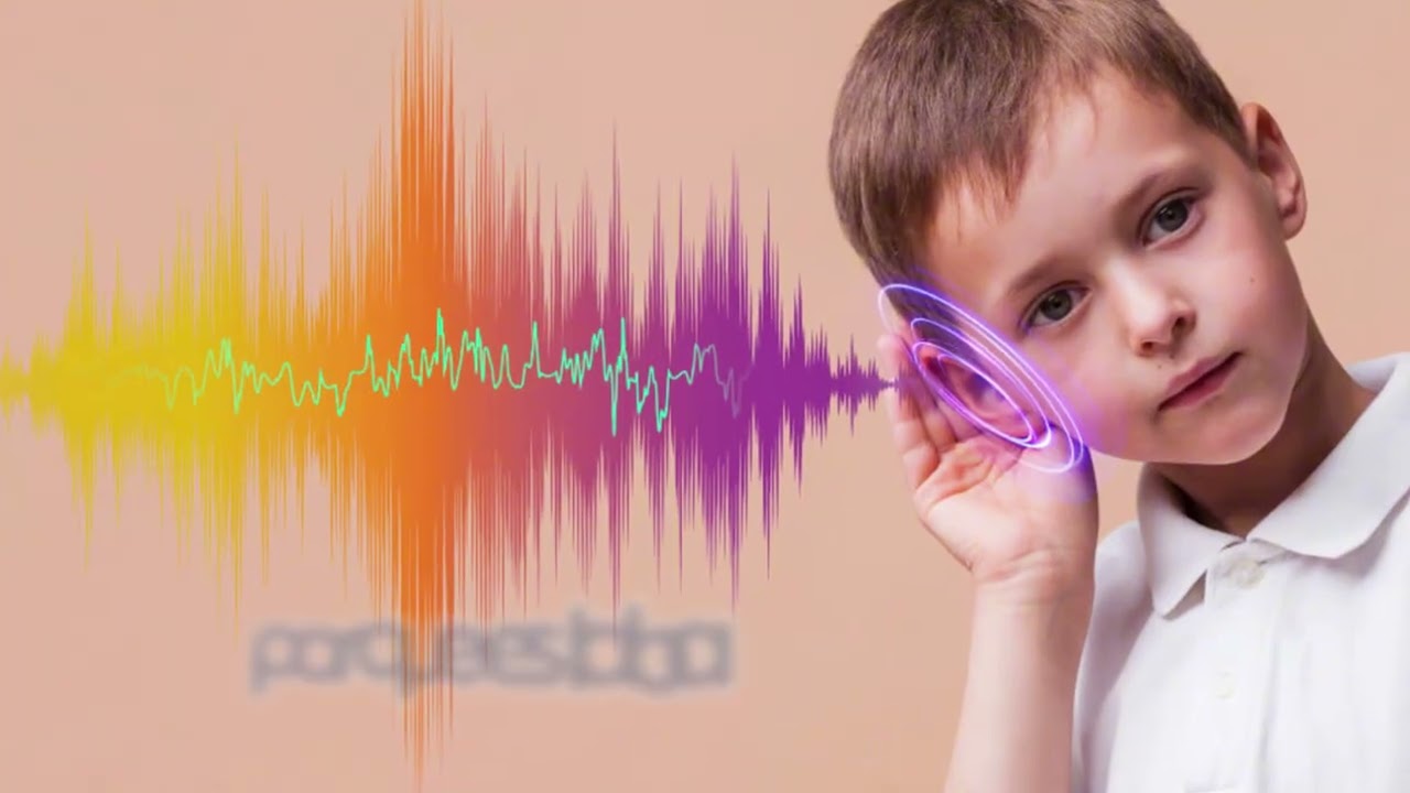 DESCONFIGURACION AUDITIVA DRA. SILVIA IRENE ESPECIALISTA EN TECNOLOGIA AUDITIVA