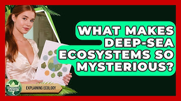 What Makes Deep-sea Ecosystems So Mysterious? - Explaining Ecology