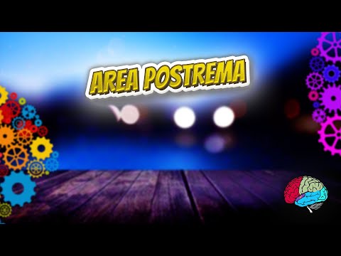 Area Postrema - Know It ALL 🔊✅