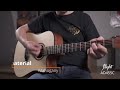 Acoustic Guitar Flight AD-455C