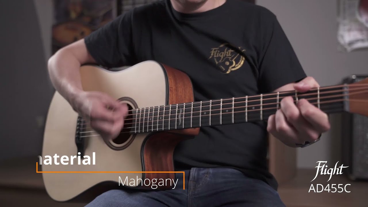 Acoustic Guitar Flight AD-455C