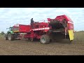 Уборка картофеля в Беларуси: Deutz-Fahr Agrotron 6215 c Grimme SE260 трудится на полях СПК &quot;Гигант&quot;