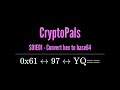 Codifiche e Trasformazioni - Cryptopals S01E01 -