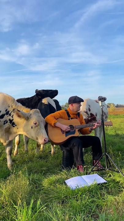 Yesterday - The Beatles ( Cover by Plumes)