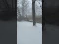 Snow Machine Part 2! Lake Effect and Winds Starting Up! #snowstorm #cleveland #lakeeffectsnow #snow