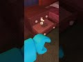 DOORS #gaming #shorts #roblox #funny #memes