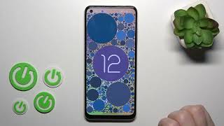 How to Locate the Current Android Version of Realme 10 - Find Android Version