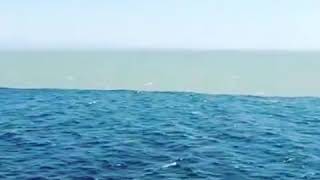 Wow, lautnya ada dua