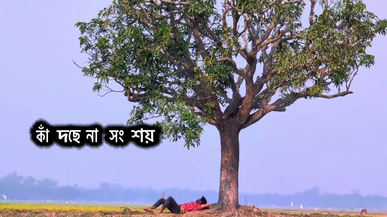 #sad #lifeisbutadream #mrbeast #love #nothingimposibleinthisworld youtubepersonality #youtube's tar