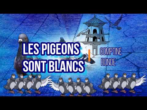 Les Pigeons Sont Blancs 