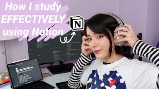 How to study efficiently using Notion  [Active Recall] screenshot 5