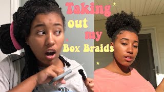 TAKING OUT MY BOX BRAIDS + HAIR UPDATE