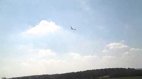 West Wings Merlin (2)