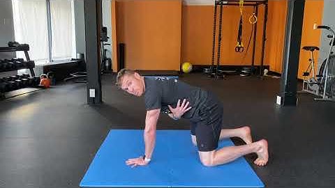 Scapular CARs Quadruped