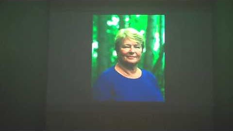 The Norwegians installation video of slide show at Stiftelsen 3,14 by Anne Senstad