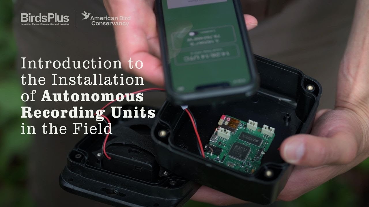 Введение в установку ARU в полевых условиях