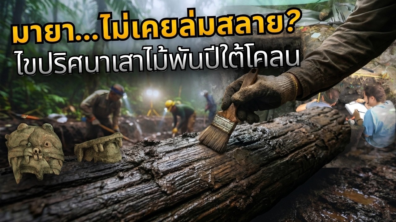 โครงสร้างไม้โบราณ ภูมิปัญญาชาวมายา สถาปัตยกรรมเหนือน้ำ 1,000 ปี