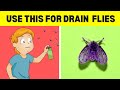 How To Get Rid Of Drain Flies (5 Easy Ways)