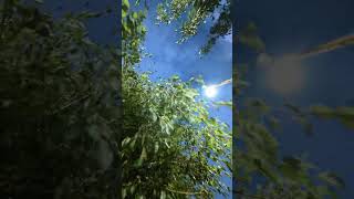 in evening to much thunderstorm cool weather mindblown mind relaxation video capture naturally view