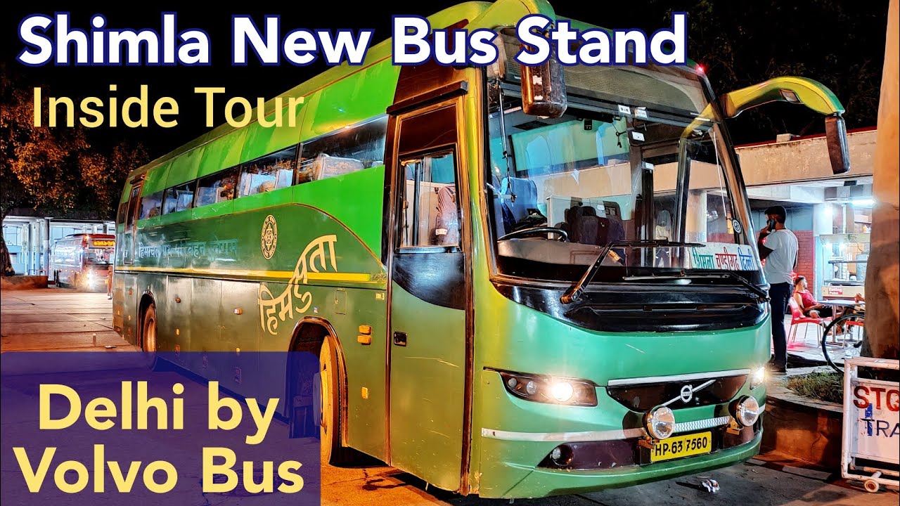 shimla tour bus