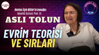 Prof. Dr. Aslı Tolun anlattı: Evrim Teorisi ve Sırları | "BİLİNMEYEN BİR ATAMIZ OLDUĞU ORTAYA ÇIKTI"