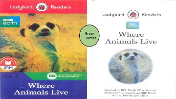 APSACS. English Class 2. Where Animals Live. Lecture 2 Green Turtles. Where do Green Turtles Live?