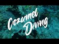 COZUMEL DIVING | MEXICO