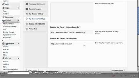 PLR Blog Theme Options Tutorial Part 7 - Top Banner Settings