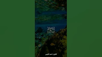 | أمن يجيب المضطر  إذا دعاه | القارئ : احمد النفيس |