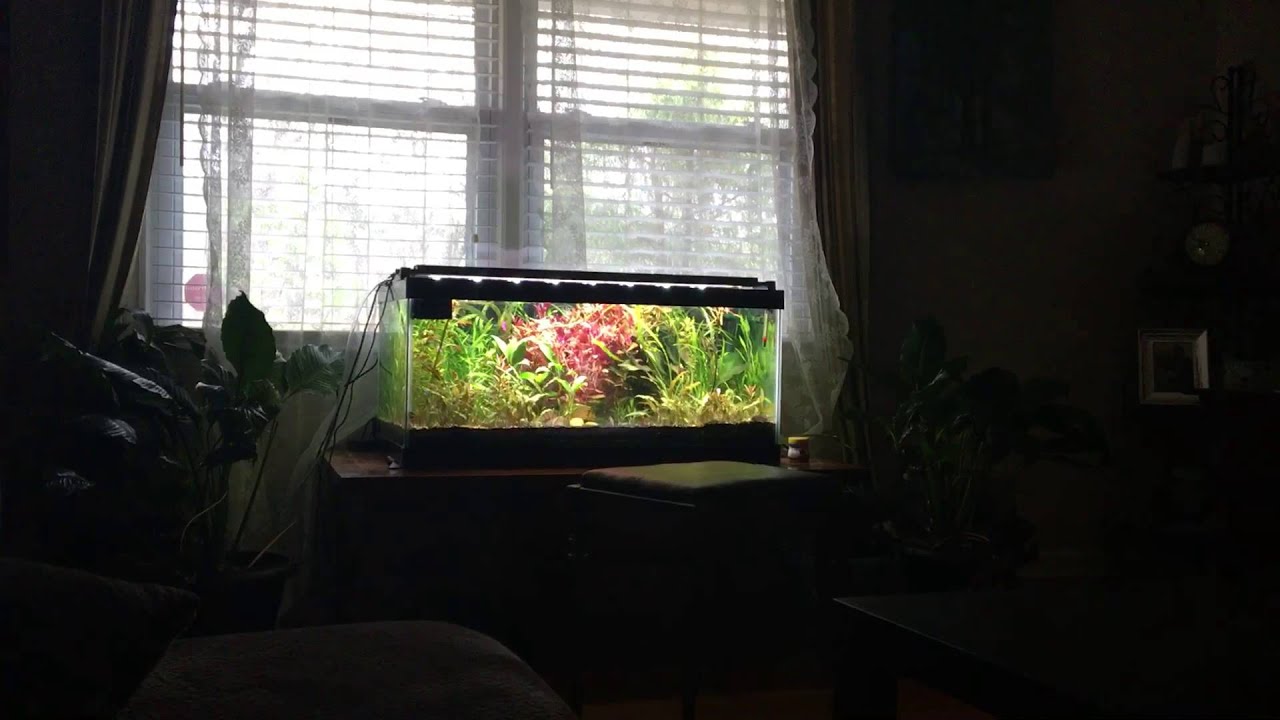 camera iphone 8 plus apk My View This Morning
