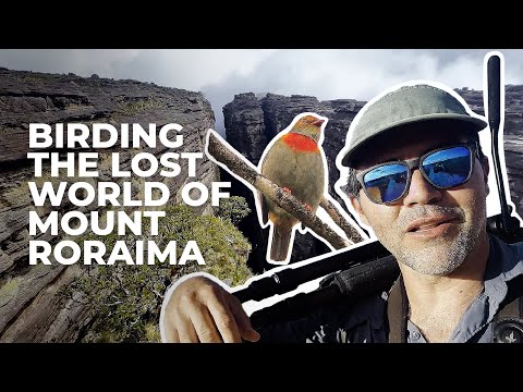 Video: Mount Roraima - Het ultieme avontuur in Venezuela